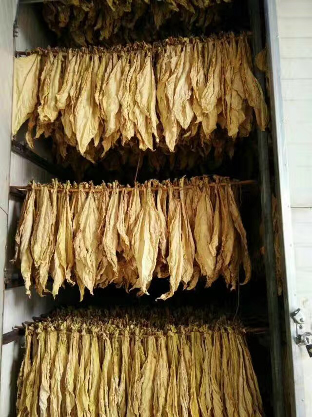 電磁加熱煙草烘乾設備