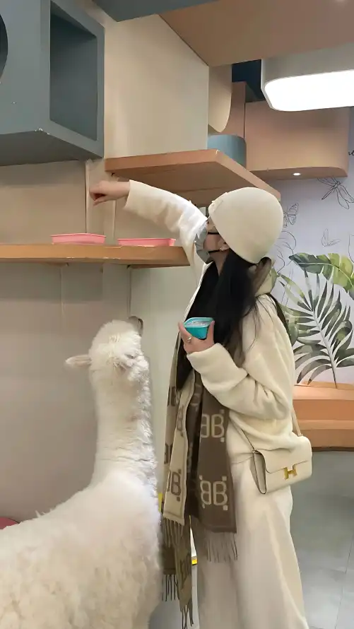 免费免费啪视频在线播放_巨爆乳寡妇中文无码_久久久久久精品免费免费直播